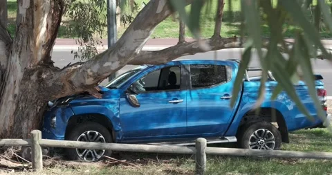 Car crashed into tree. Stock Footage 155290696