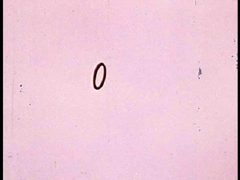 A car creature come down from Mars and is appalled by the behavior of drivers 動画素材 75097943