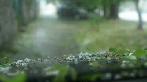 Car Damage Large Hail Video stock 51789338