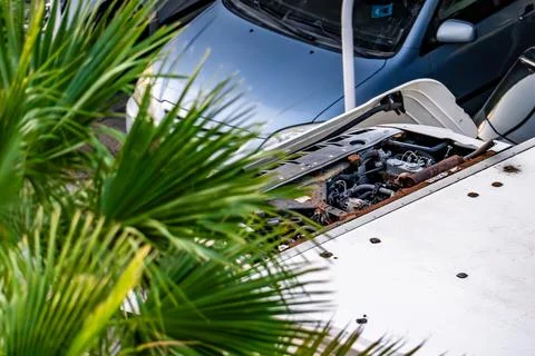 A car with a damaged engine is parked next to a palm tree Stock Photos