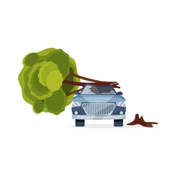 Car damaged by fallen tree. Blue automobile with broken windshield. Flat vector Stock Illustration