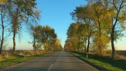 https://images.pond5.com/car-dashcam-pov-video-road-footage-165826768_iconl.jpeg