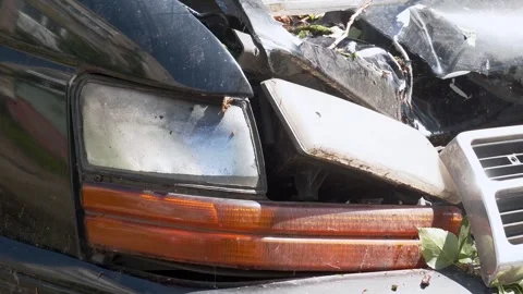Car destroyed under fallen tree after big storm. Stock Footage 323617951