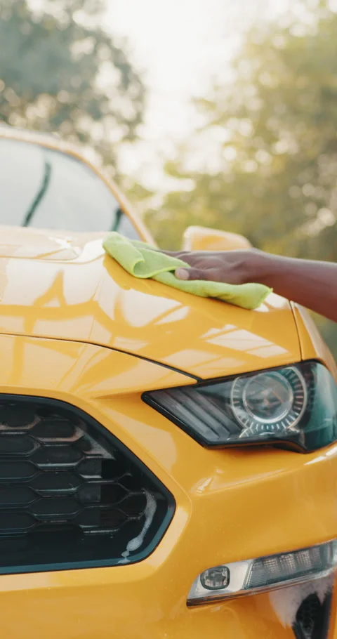Car Detailing: Vertical Stock Footage 319348548