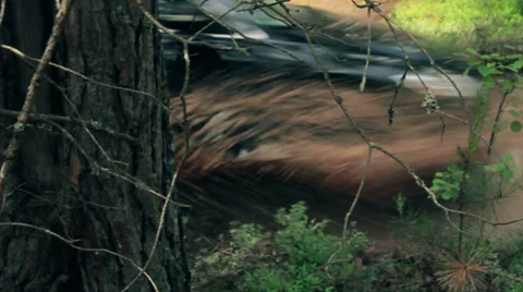 Car in a Dirt Puddle Stock Footage 39492997