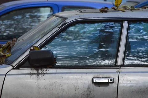 A car with a dirty windshield and a reflection of trees in the window Stock Photos