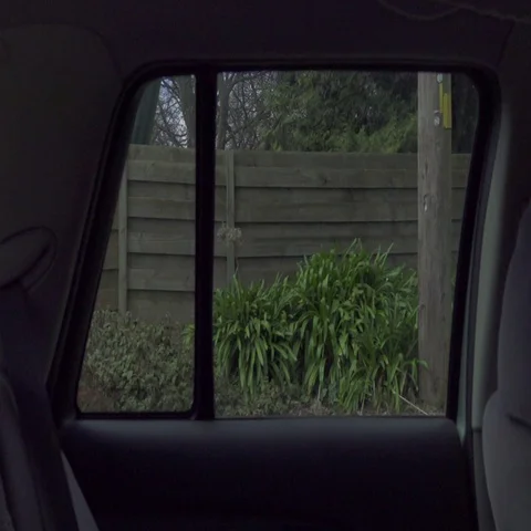 Car Dolly. Window, Forest Stock Footage 69344769