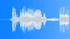 Car Door Open 01 Sound Effect