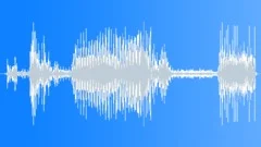 Car Door Open Ford Sound Effect