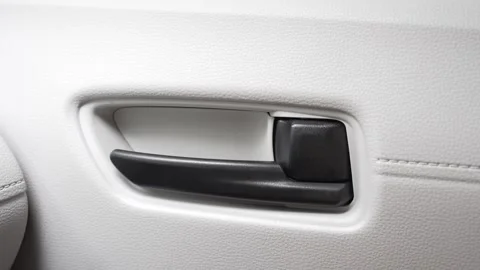 Car doors locking from inside the vehicle Stock Footage 345011683