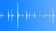Car Doors Sound Effect