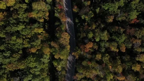 Car down fall road drone looking down Video stock 140549862