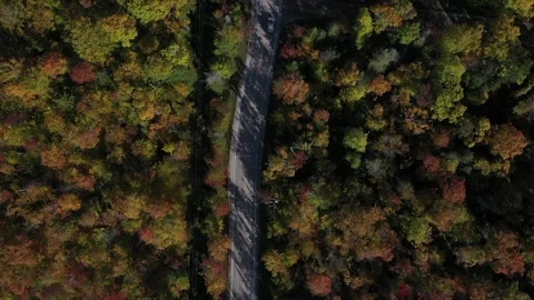 Car down road fall colors Stock Footage 140549961