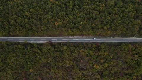 Car drive aerial drone view top down in autumn day Stock Footage 220100393
