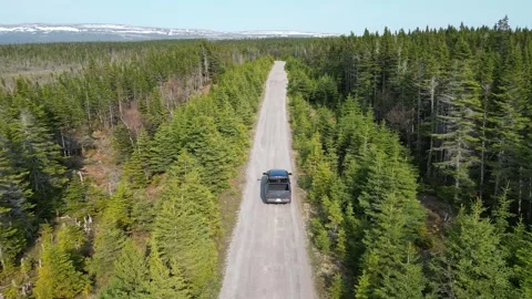 Car Drive Amidst Pines with Distant Snow Peaks Stock Footage 253407987