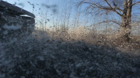 Car Drive. Feathers. Sun Stock Footage 47360325