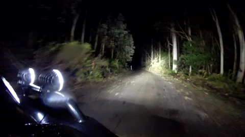 Car Drive in the night - Slow Down in the End - Off Road Forest Clip0120 Video stock 197014495
