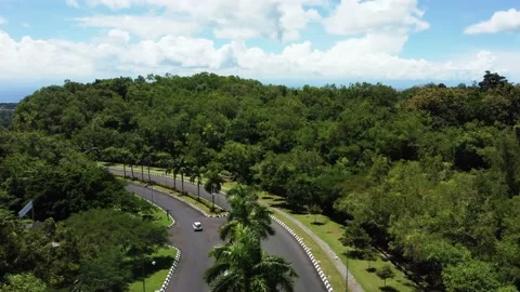 Car drive by road between green trees in sunny day Stock Footage 152131034