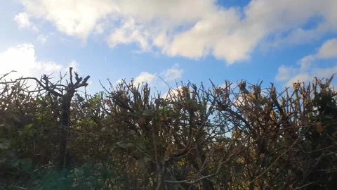 Car Drive Through British Rural Countryside Farms and Landscape Stock Footage 324785426