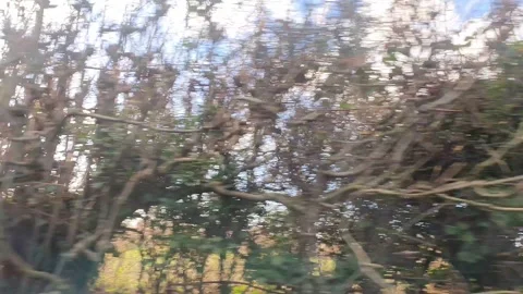 Car Drive Through British Rural Countryside Farms and Landscape Vidéo 324820451