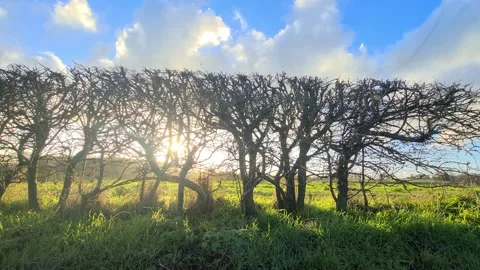 Car Drive Through British Rural Countryside Farms and Landscape Stock Footage 324826779