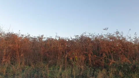Car Drive Through British Rural Countryside Farms and Landscape Stock Footage 324827890