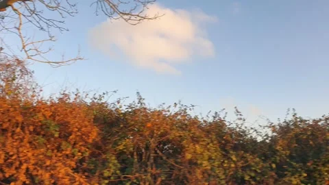 Car Drive Through British Rural Countryside Farms and Landscape Stock Footage 324828192