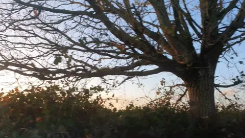 Car Drive Through British Rural Countryside Farms and Landscape Vidéo 324828805