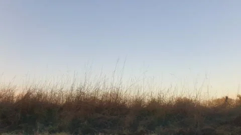 Car Drive Through British Rural Countryside Farms and Landscape Stock Footage 324828822