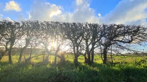 Car Drive Through British Rural Countryside Farms and Landscape Stock Footage 324829109