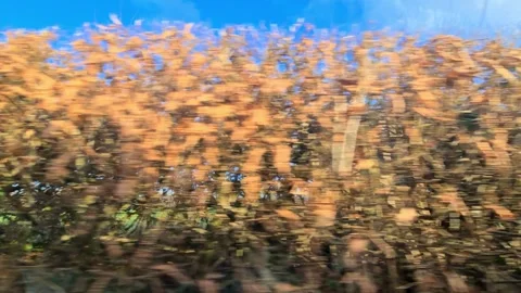 Car Drive Through British Rural Countryside Farms and Landscape Vidéo 324829664