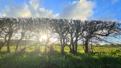 Car Drive Through British Rural Countryside Farms and Landscape Stock Footage 324830418