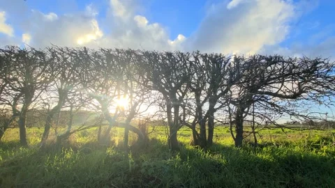 Car Drive Through British Rural Countryside Farms and Landscape Stock Footage 324831499