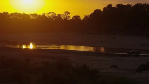 Car drives across shallow river in Kruger Natl Park at golden sunset Stock Footage 341927937