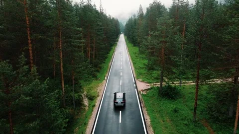 The car drives along the road through a dense forest in cloudy weather Stock Footage 247889541