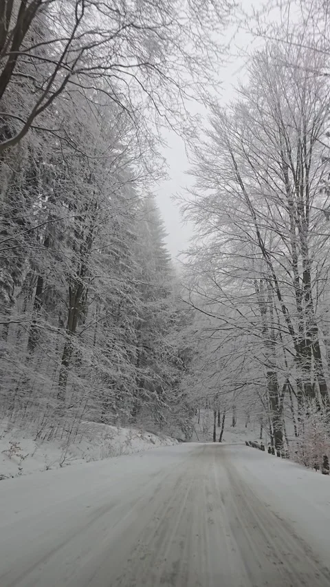 Car drives along a winding mountain road covered with fresh snow as icy tre.. Video stock 328429762