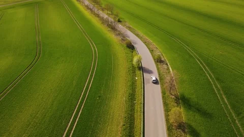 The car drives down the road through a green field. A beautiful green field. Stock Footage 233118033