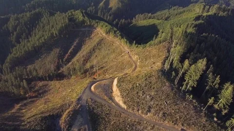 Car drives on logging road through clear cut - drone 動画素材 78651371