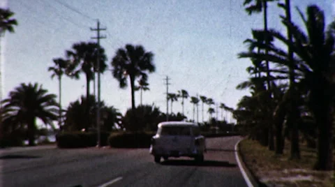 Car Drives Palm Tree Highway Florida Vacation 1950s Vintage Film Home Movie Stock Footage