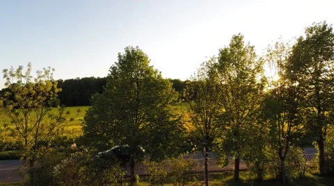 Car drives into the sunset Stock Footage 49899370