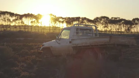 Car drives through bush at sunset sunrise Stock Footage 136511209