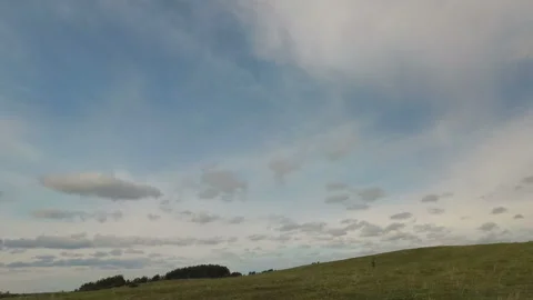 The car drives through the pasture.  Stock Footage 97166448