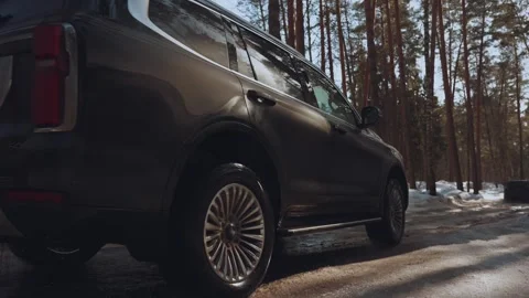 A car drives through a puddle, an SUV drives through a forest Vidéo 330767047