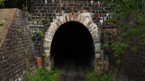 The car drives into a tunnel in the forest Stock Footage 186876010