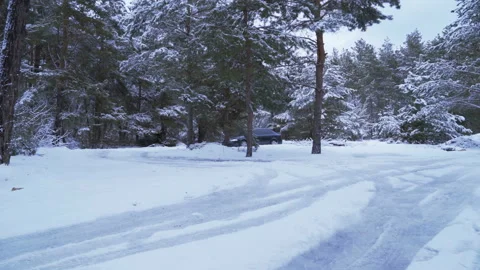 Car drives in the winter on deep snow in the forest 4K Stock Footage 114659032