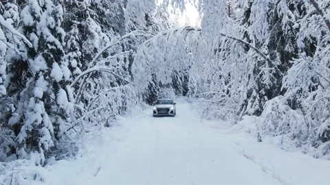 Car drives on a winter pine forest road Stock Footage 147723475
