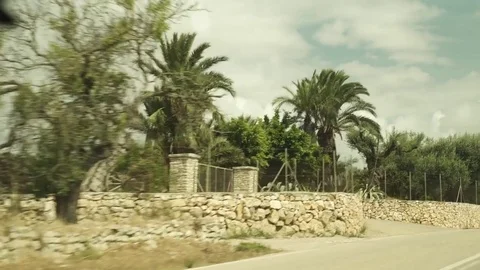 Car driving along an empty concrete street passing Palmtrees on a cloudy day Video stock 80383641