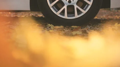 Car driving along an empty forest road, over vivid fallen autumn tree leaves in Stock Footage 129304725