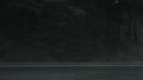 Car driving along empty road with dense woodland in the background Stock Footage 232956964