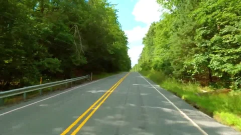 Car driving along a forest asphalt road on a sunny day Stock Footage 342942793